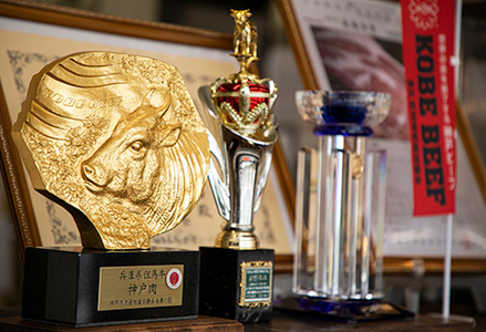 丹波篠山東門牛至宝のヘレステーキ５枚入り AB29