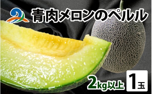 【先行予約】青肉メロンのペルル【2026年6月下旬から順次発送】ペルルメロン  青肉メロン  果物 予約 福井県 南越前町 フルーツ メロン めろん 青肉メロン 果物 くだもの 新鮮 さっぱり 爽やか 甘い 一苗 一玉  ２.5kg以上 XLサイズ お届け 産地直送 農家直送 国産 先行予約 数量限定 贈答用 手土産 ギフト 誕生日 送料無料 恐竜の卵