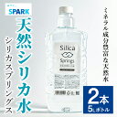 【ふるさと納税】シリカスプリングス(計10L・5L×2本)シリカ水 天然水 美容 健康 炭酸水素イオン 常温 常温保存 【114700300】【スパーク】