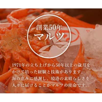 【蟹セレブ】ズワイガニ(紅ズワイガニ)1.8kg箱詰め(600g前後×3杯)【配送不可地域：離島・北海道・沖縄県・東北・関東・信越、北陸・東海・九州】