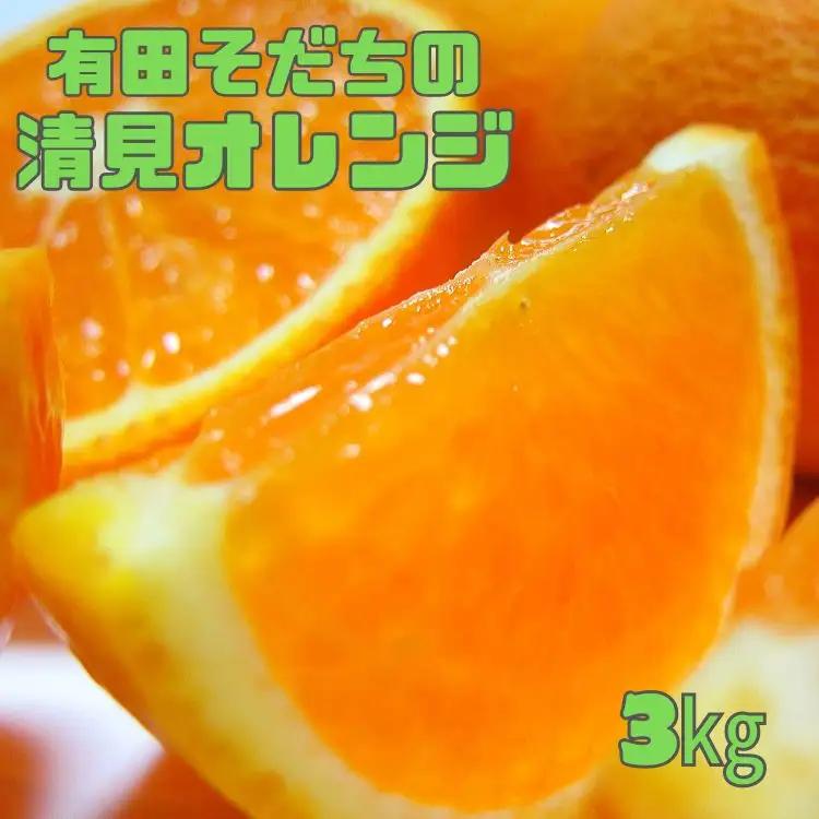 有田育ちの完熟清見オレンジ(ご家庭用)　3kg+200g(補償分)【2027年2月下旬～5月上旬頃に順次発送予定】【ard016C】