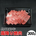 【ふるさと納税】鳥取和牛 霜降り焼肉（300g）※離島への配送不可