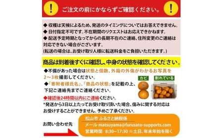 【2026年5月上旬から発送予定】完熟春みかん カラマンダリン 5kg M~2Lサイズ【FT036】