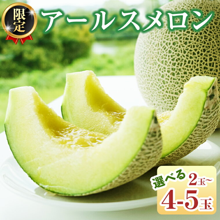 【ふるさと納税】《2025年8月下旬発送開始》《 選べる 玉数 》 季節 限定 ！甘さ満点 アール スメロン 2玉 ／ 3玉 ／ 4～5玉 果物 フルーツ 農家直送 産直 青肉メロン 特産品 マスクメロン メロン くだもの 茨城