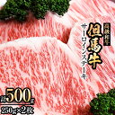 【ふるさと納税】但馬牛サーロインステーキ2枚入り【250g×2】【配送不可地域：離島】【1098414】