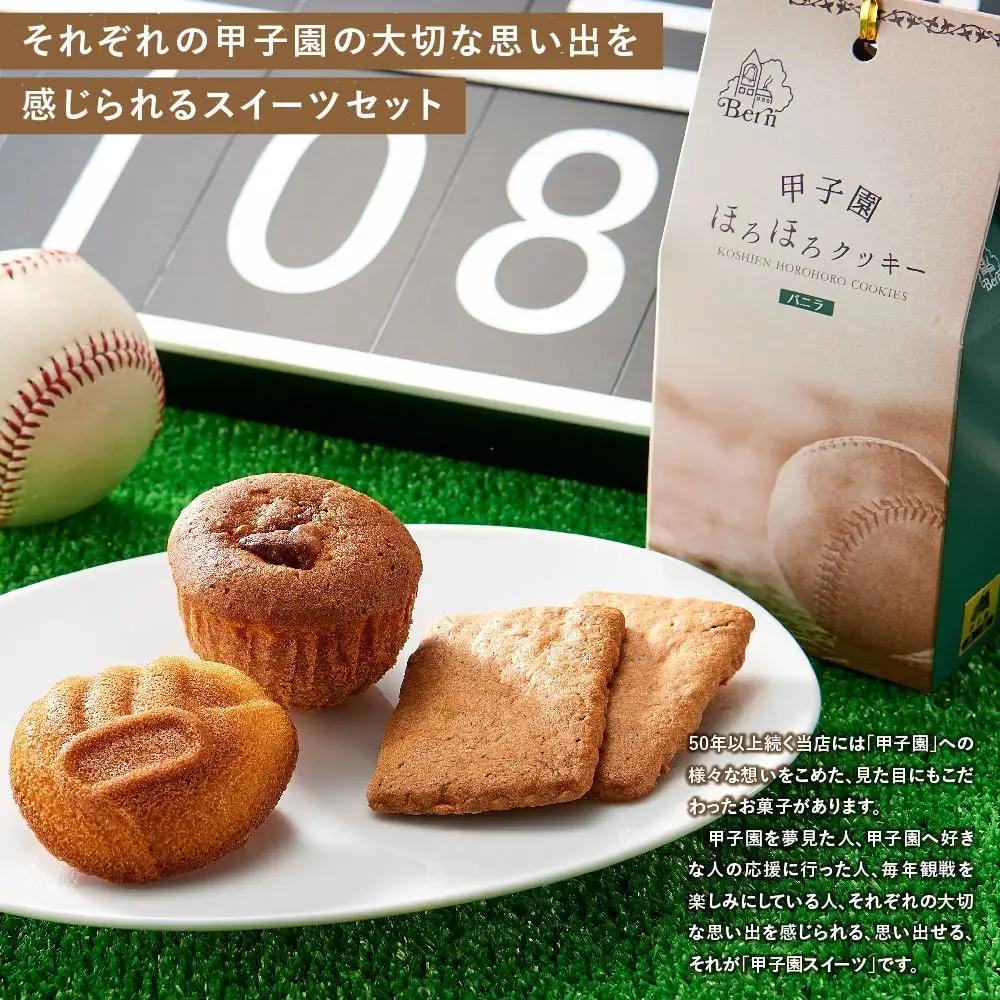 【西宮市の洋菓子】パティスリーベルン特製　甲子園スペシャルセット　洋菓子
