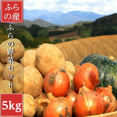 【ふるさと納税】北海道富良野産　野菜セット5kg詰め(4～5種類)【1565493】