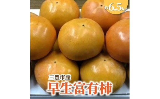M02-0098_三豊市産早生富有柿 約6.5kg