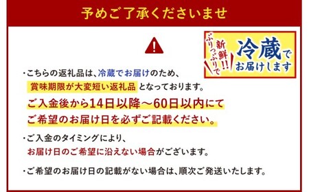 【指定日必須】 本場関門とらふぐ刺身・ふぐ鍋セット(2～3人前)ふく一