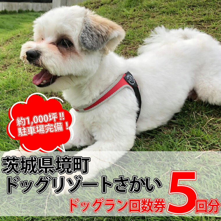 【ふるさと納税】茨城県境町 ドッグリゾートさかい 広々1000坪！ ドッグラン 回数券（5回分）1回分お得！