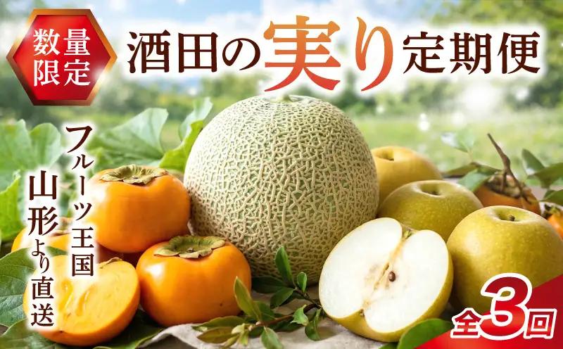 SD0215　【3回定期便】酒田の実り定期便2026 (アンデスメロン、刈屋梨、庄内柿) 