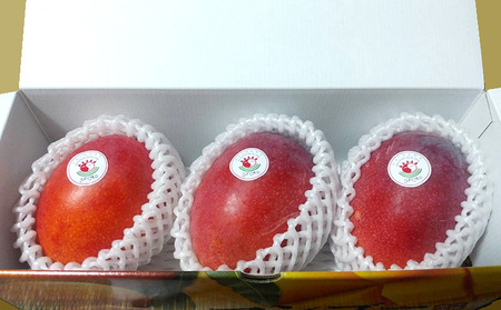 大宜味村産 アーウィン種マンゴー　秀品1キロ フルーツ 果物 くだもの 果実 沖縄 大宜味村 食べ物 国産 秀品 九州産 産地直送 ギフト プレゼント トロピカル 送料無料 甘味 スイーツ お取り寄せ