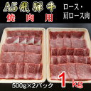 【ふるさと納税】『A5等級』飛騨牛焼肉用1kg　ロース又は肩ロース肉【配送不可地域：離島】【1432057】