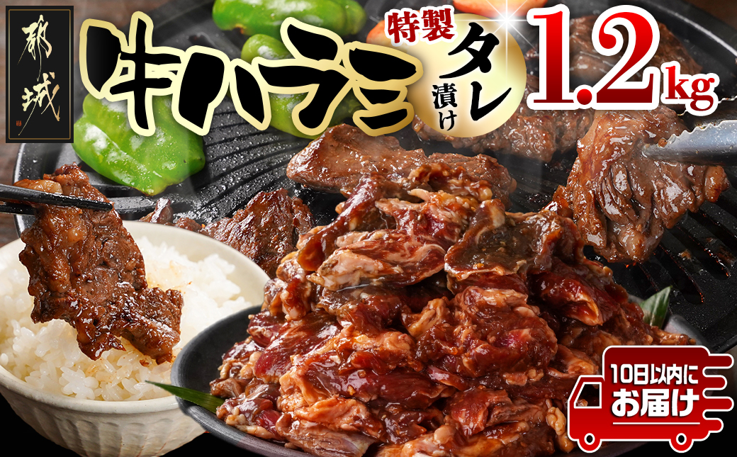 牛ハラミ タレ漬け1.2kg≪みやこんじょ特急便≫〔33-024-1200g-Q〕