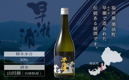 早瀬浦 大吟醸 山田錦 720ml × 1本 【入手困難 日本酒 就職祝い 転職祝い ハレの日 ギフト プレゼント お祝い お返し お礼 お中元 お歳暮 父の日 敬老の日 】[m06-b008]
