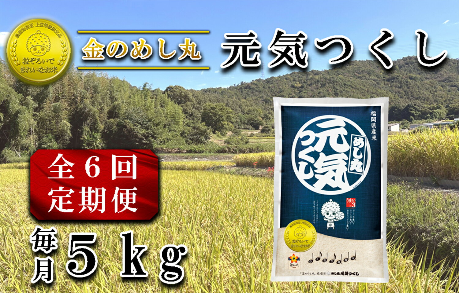 【ふるさと納税】【定期便6回】令和7年米　金のめし丸元気つくし 5Kg（1袋）×6回_CE-082