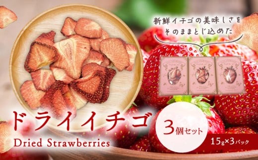 ドライ苺3個セット《30日以内に出荷予定(土日祝除く)》有限会社 ミカモフレテック ドライ 苺 イチゴ 送料無料 徳島県 美馬市