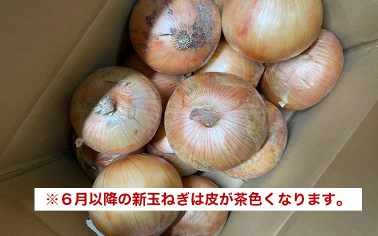 【Hope Will】新玉ねぎ　シャーロットオニオン 3kg