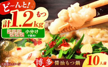 博多醤油もつ鍋 10人前セット 吉富町/株式会社MEAT PLUS[BGAB002]