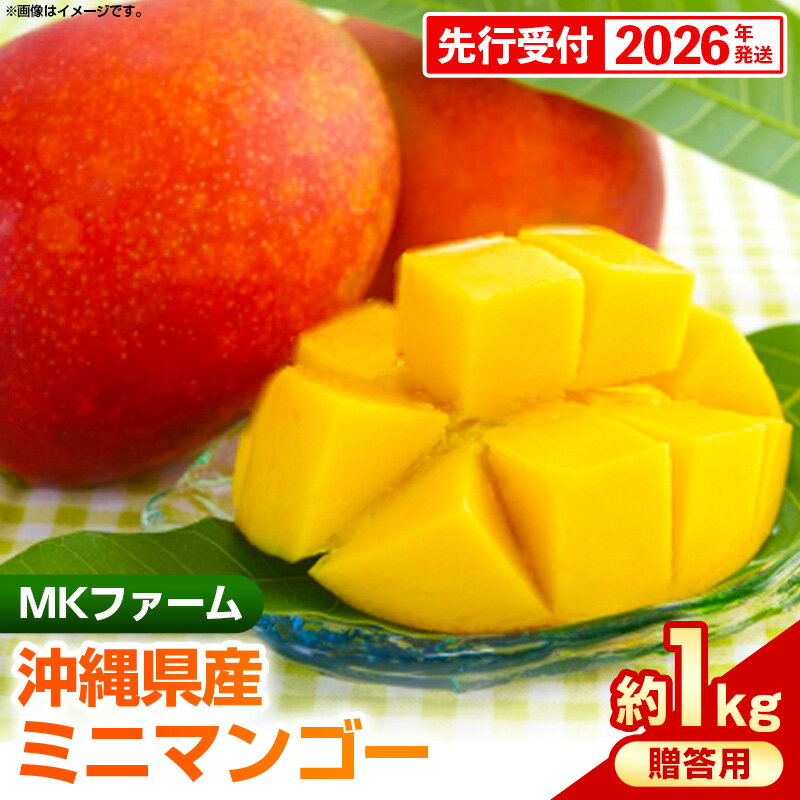 【ふるさと納税】【先行受付】【2026年発送】MKファームの贈答用ミニマンゴー約1kg【贈答用】- 贈答用 ギフト 先行予約 沖縄県産 産地直送 南国フルーツ 旬の味覚 ミニマンゴー オススメ 沖縄県 八重瀬町