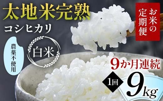 
                  【先行予約】お米の定期便 農薬不使用米 太地米完熟 【こしひかり】 白米9kg×9か月連続 ブランド米 お米 精米 白米 人気 F7X-0742
                