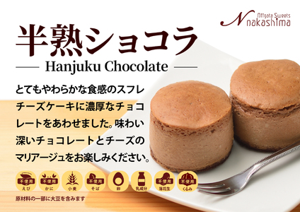 スフレチーズケーキ 『半熟ショコラ』 9個入り 1箱 優しい味わい ギフトにもおすすめ 新潟県 糸魚川市 ナカシマ 人気のスフレケーキにチョコレートの美味しさをプラス やわらかな口どけ のし対応可 チ