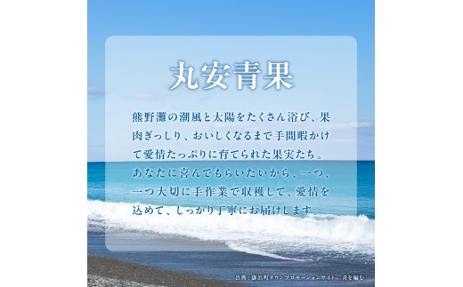 丸安青果の御浜町産南高梅干3キロ【梅干し 梅干 梅 うめぼし 南高梅 3kg 三重県 御浜町】