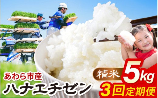【先行予約】【令和8年産】定期便 ≪3ヶ月連続お届け≫ ハナエチゼン 精米 5kg（計15kg）（農事組合法人イーノなかのはま100） / 北陸 福井県産 あわら市 ブランド米 白米 お米 コメ ※2026年10月より順次発送予定  [aw139-b001]