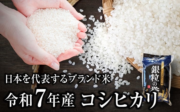 こしひかり コシヒカリ 5kg 5キロ 米 白米 令和7年 R7年 定期便