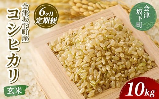 
            【定期便6ヶ月】会津坂下町産　コシヒカリ10kg（令和7年産米・会津エコ米）（玄米） ｜ 米 こめ コメ 玄米 10kg コシヒカリ
          