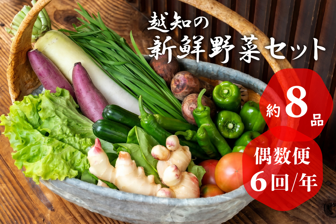 越知産市の季節の野菜セット(年6回発送) 偶数月　産地直送　旬野菜