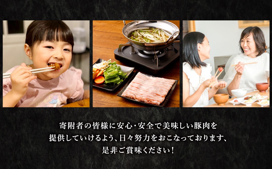 熊本県産 火の君ポーク 詰合せ