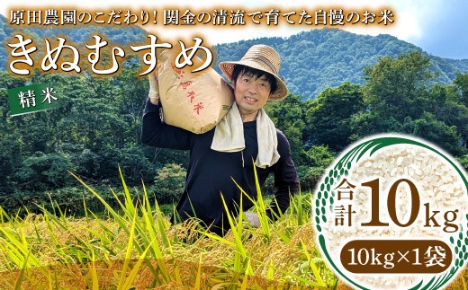 
                  【数量限定】原田農園のこだわり精米 10kg ～関金の清流で育てた自慢のお米～
                