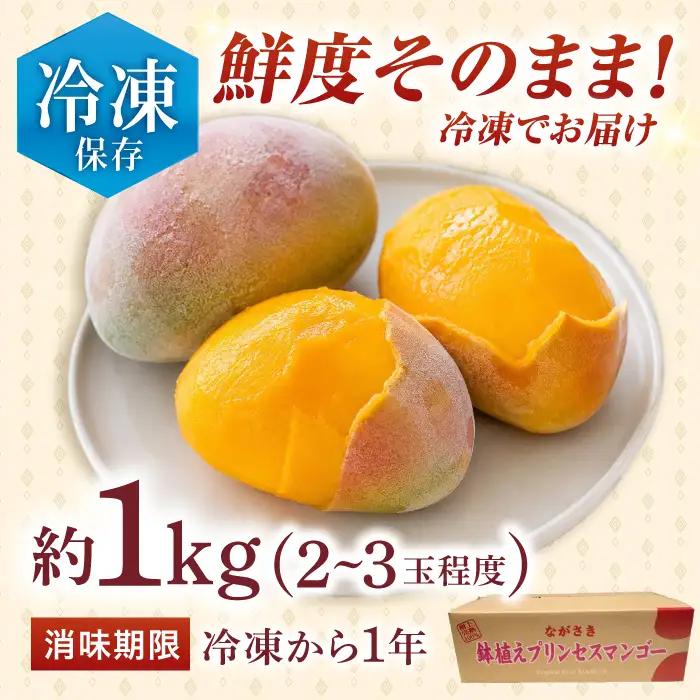 【冷凍】プリンセスマンゴー 約1kg[QAT013] マンゴー