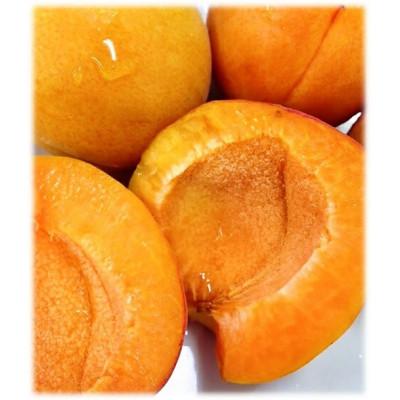 ふるさと納税 千曲市 【2026年発送】あんず「ハーコット」生食用 約2kg |  | 02