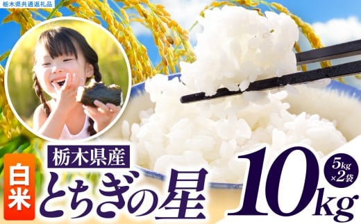いちご農家さん応援米！ 令和7年度産 白米 約10kg とちぎの星 | 真岡市産 米 お米 こめ 白米 ご飯 ごはん 大粒 とちぎのほし 限定 ふるさと納税  栃木県 真岡市 送料無料
