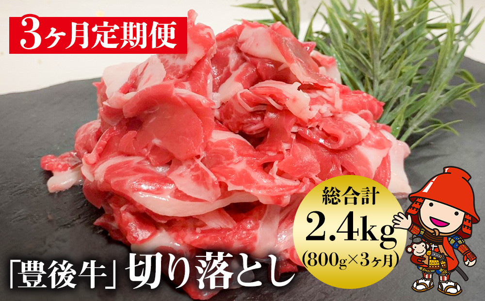 
【3ヶ月定期便】豊後牛 切り落とし 200g×4（毎月1回）和牛 肉 お肉 にく 牛肉 すき焼 すきやき 焼き肉 大分県産 九州産 中津市 国産 送料無料
