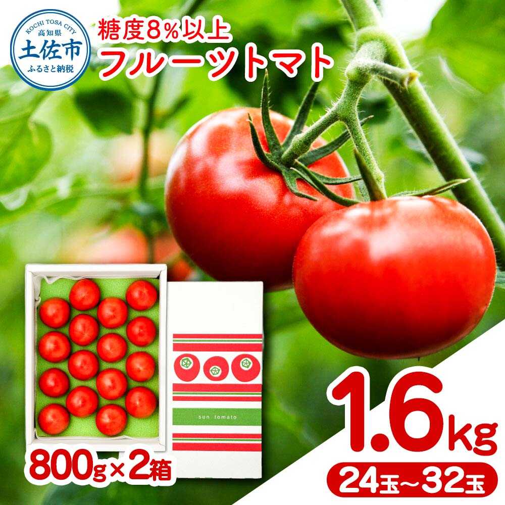 【ふるさと納税】【先行予約】フルーツトマト 約1.6kg(約800g×2) 24~32玉入り 糖度 8度以上 〈2027年1月下旬から順次発送〉フルーツトマト ふるーつとまと とまと トマト 甘い 濃厚 美味しい 箱入り 野菜 料理 高知県土佐市/ファーム輝[BQBM004]
