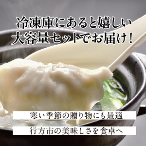 【餃子】美明豚 スープ 餃子 2袋 和風醤油｜惣菜 冷凍食品 茨城県 行方市(HJ-7)