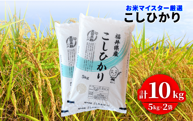 【令和7年産新米！】コシヒカリ10kg（5kg × 2）