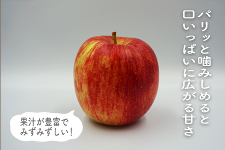 【2025年9月～10月発送分先行受付】山形のりんご（つがる）約5kg_H074(R7)