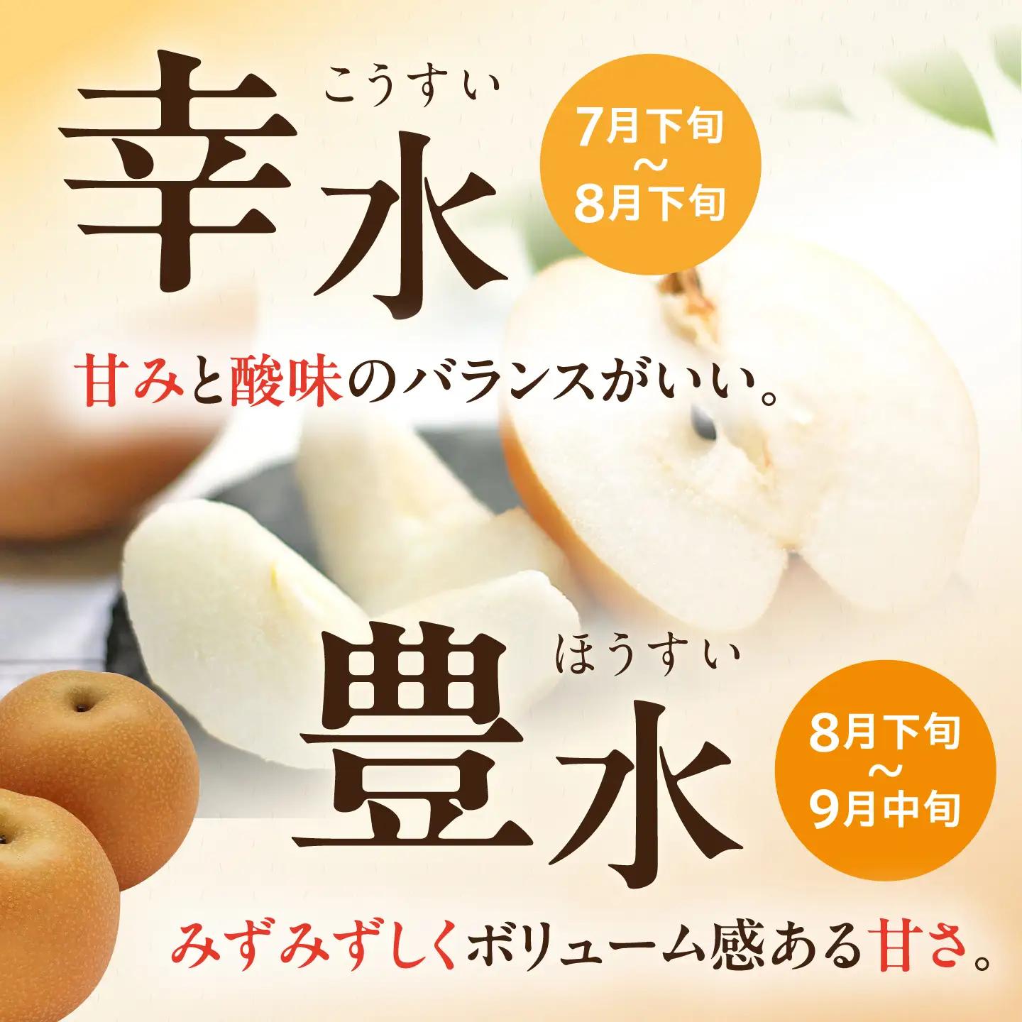 【3回定期便】 朝採り旬の梨 食べ比べ 約5kg/1回 梨定期便 フルーツ定期便 梨 ナシ なし フルーツ 果物 果物定期便 / 大村市 / 産直松吉 [ACZC010]