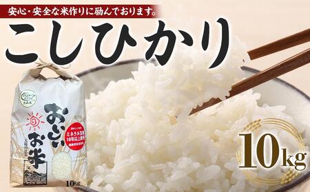 【先行予約】【令和7年産 新米】こしひかり 10kg（農薬・化学肥料不使用）【米 こめ お米 白米 精米 ブランド米 ご飯 人気 徳島 】