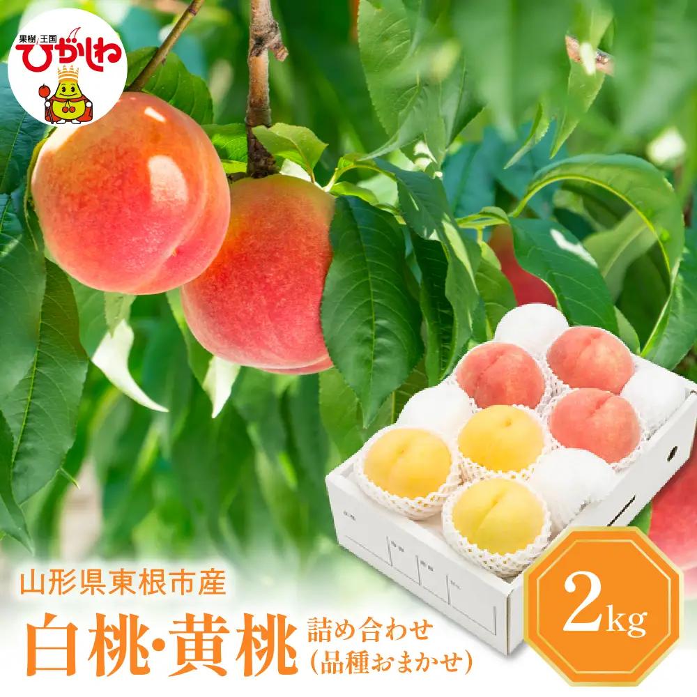 2026年産 白桃 & 黄桃 詰合せ (品種おまかせ) 2kg秀品 桃