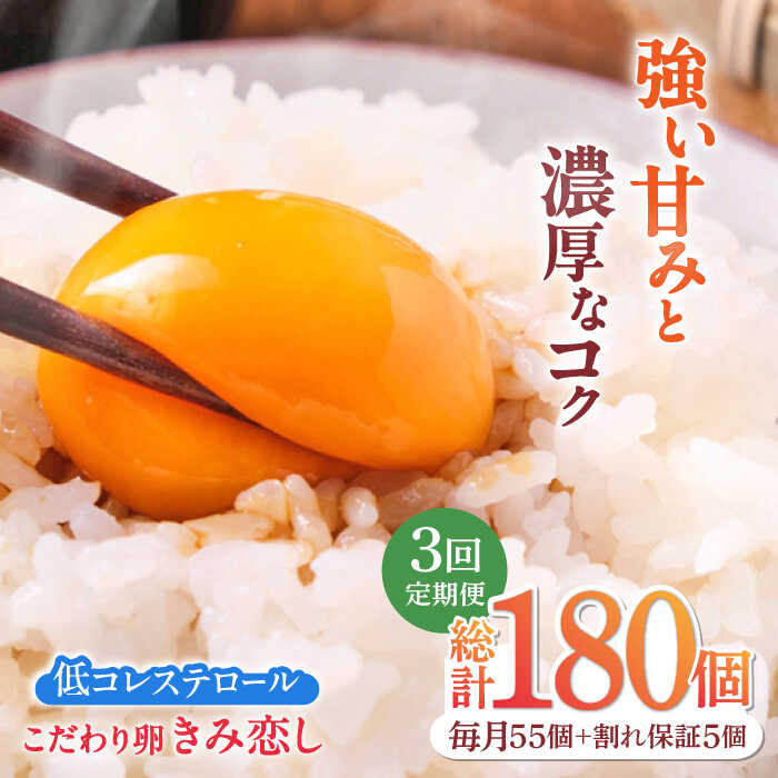【ふるさと納税】【3回定期便】きみ恋し 箱入り 60個（55個+割れ保証5個）×3ヶ月 総計180個　広川町/伊藤養鶏場[AFAJ002]