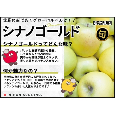 【2026年2月発送予定】平均糖度13度以上! シナノゴールド 約5kg 訳あり【配送不可地域：離島・沖縄県】【1694687】