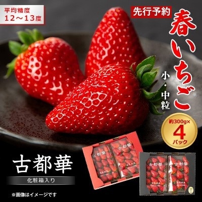 令和9年度　春いちご　古都華　約300g×4パック　合計約1200g【配送不可地域：離島・北海道・沖縄県】