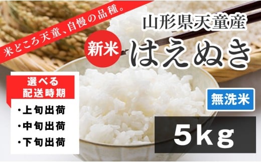 07-01-135-10C　はえぬき 無洗米5kg　[2025年10月下旬発送・令和7年産] 