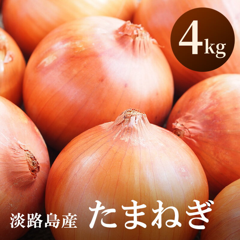 【ふるさと納税】淡路島産 玉ねぎ 4kg 玉ねぎ タマネギ 甘い 兵庫県 洲本市 淡路島 　お届け：2026年5月中旬～2026年11月末