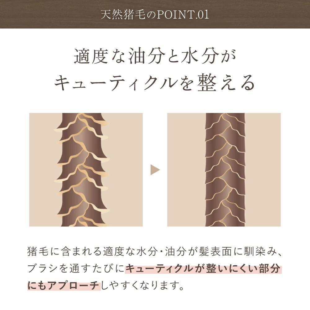 【LOABI/ロアビ公式】 くし ヘアブラシ Caple カプレ（竹材 / ラウンド型）